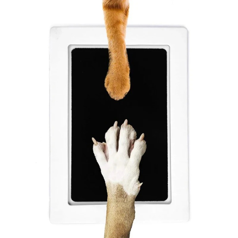 Footprint Ink Kit - Cat Dog Paw Print Ink Kit